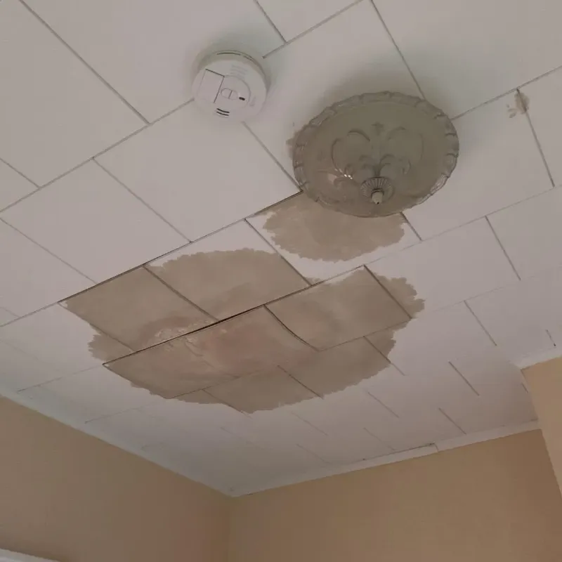 Ceiling Water Damage Repair in Sanborn, NY