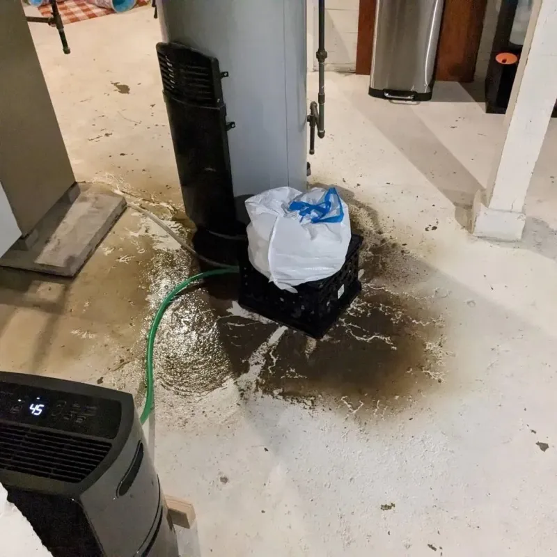 Sewage Backup Cleanup Service in Sanborn, NY